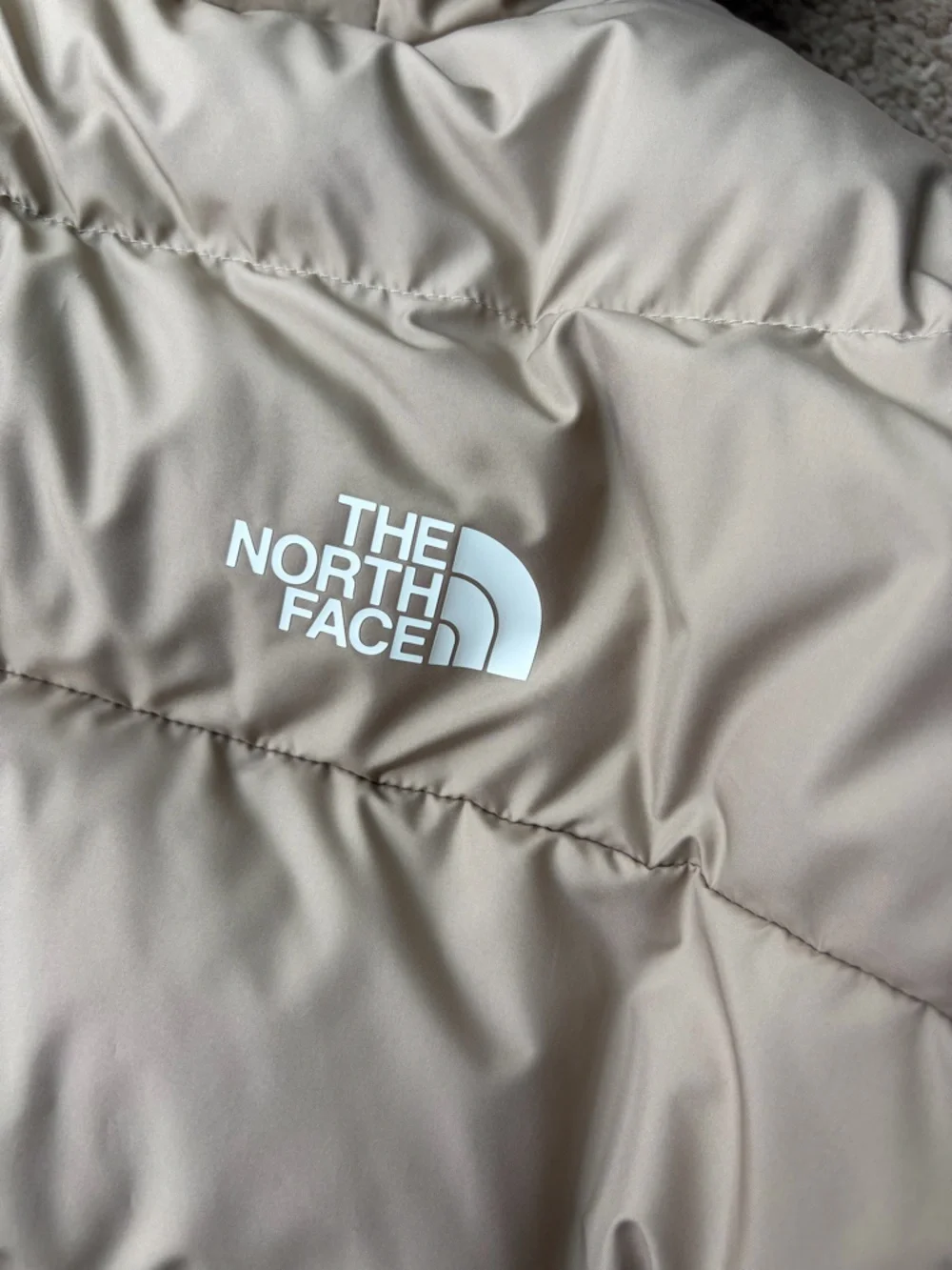 The North Face Women’s Frost Fall Hooded Jacket | Mushroom Grey | Medium - Picture 9 of 11